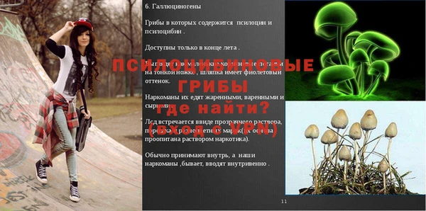 эйфоретик Михайловск