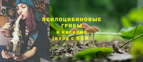 эйфоретик Михайловск