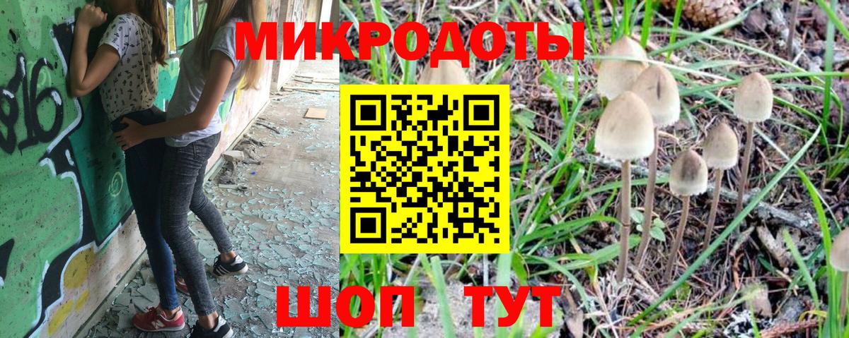 Псилоцибиновые грибы Cubensis Железногорск