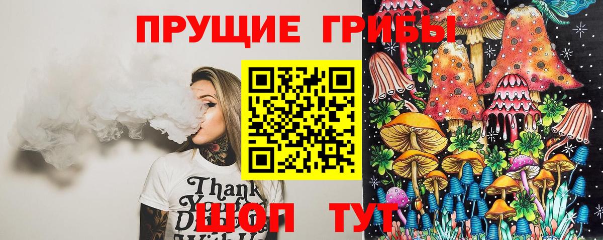 Псилоцибиновые грибы GOLDEN TEACHER  Вход с VPN  Железногорск  Галлюциногенные грибы Magic Shrooms 