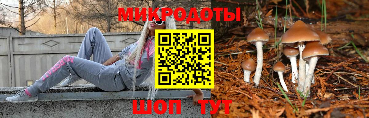 Псилоцибиновые грибы Cubensis  Галлюциногенные грибы мицелий  Железногорск 