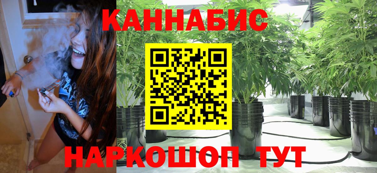 Бошки Шишки конопля Железногорск